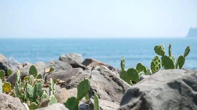 早读丨愿你走遍万水千山，不染岁月风尘(图8)