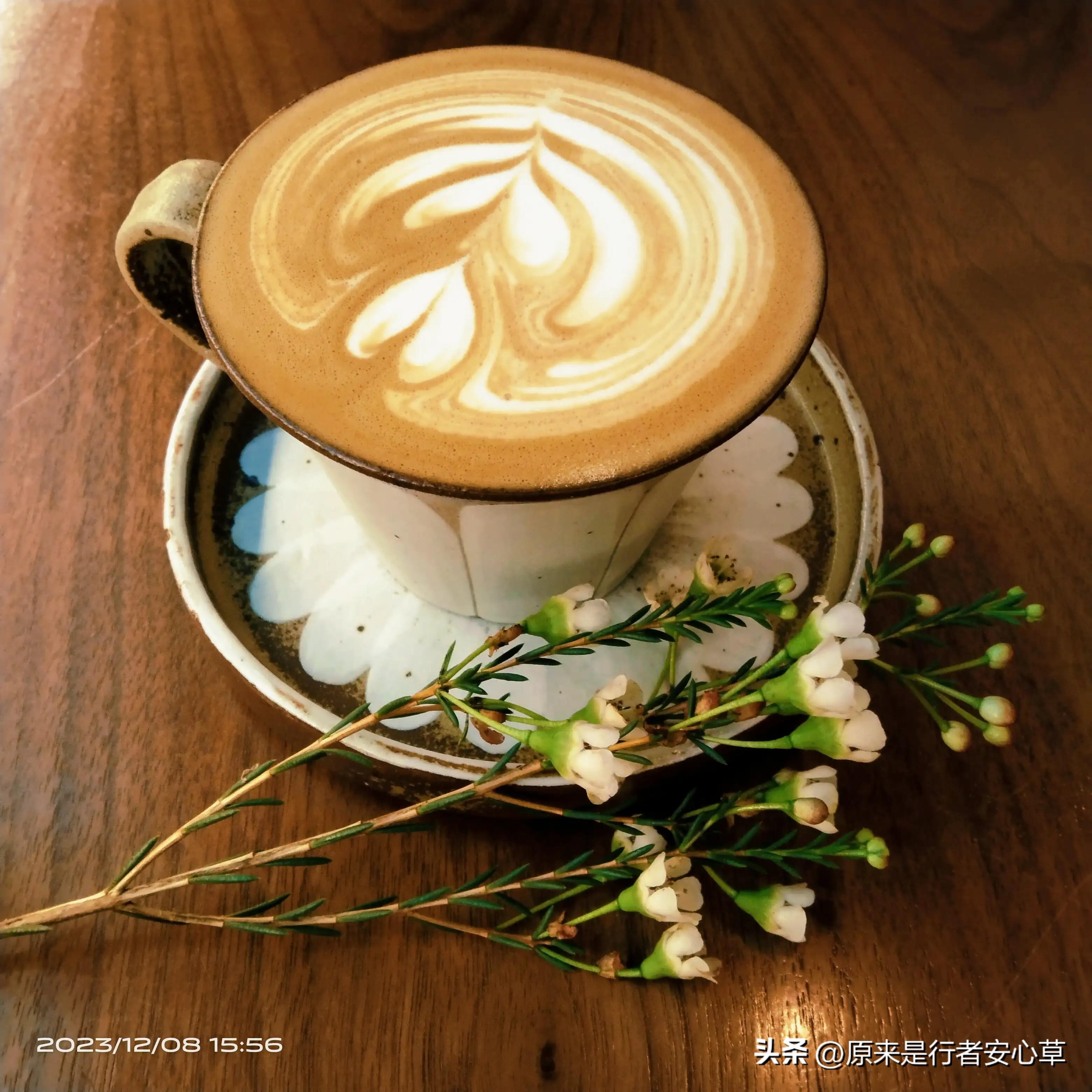 回顾我2023的心路历程(图2)