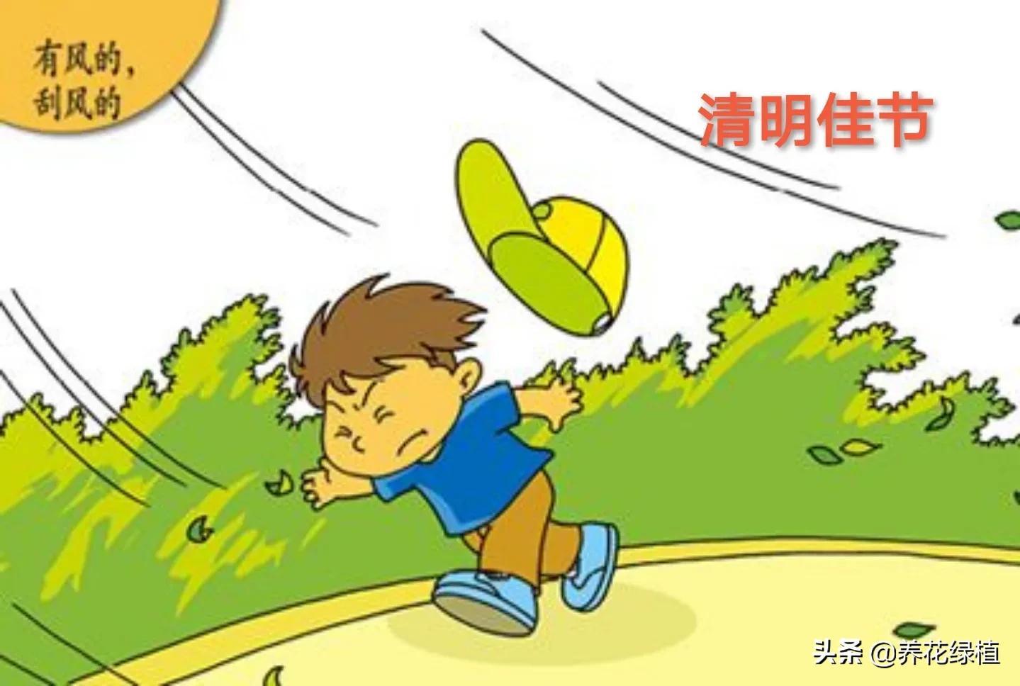 清明节这天，根据老祖宗留下的农谚，不同的风向，将有不同的预兆(图3)