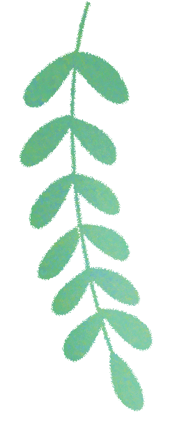 你好，新同学！喜迎“新桂”，满庭芬芳！(图8)