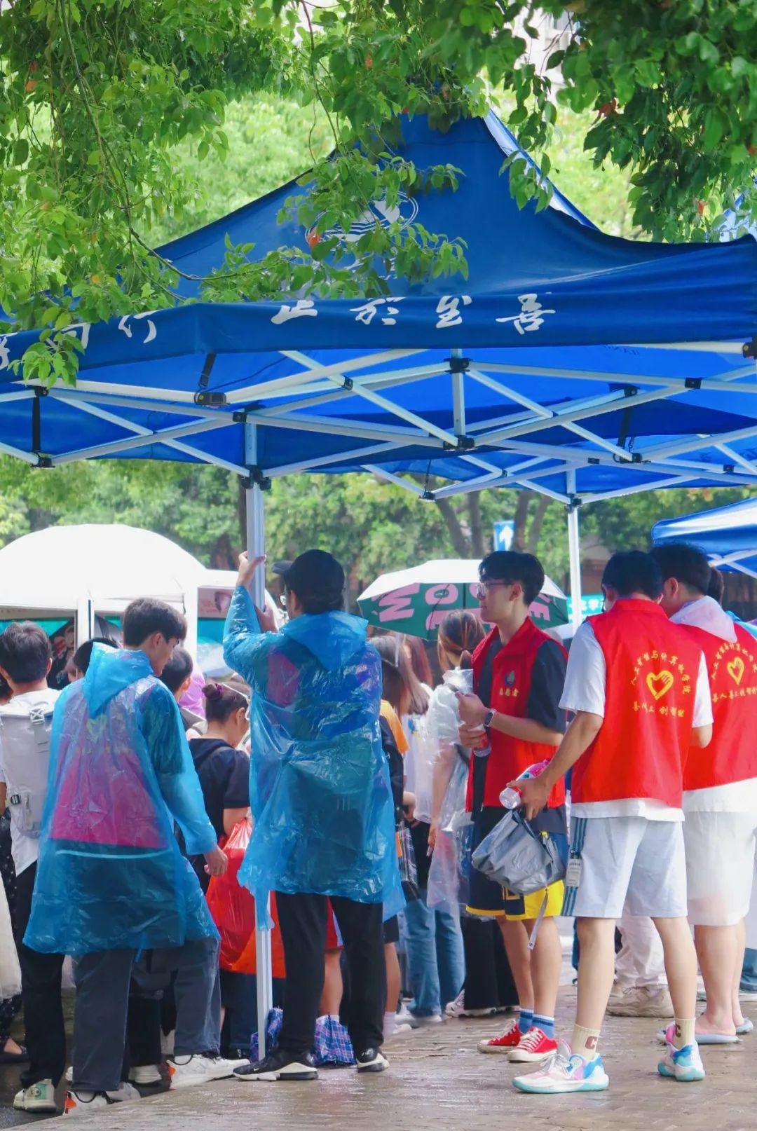 你好，新同学！喜迎“新桂”，满庭芬芳！(图15)