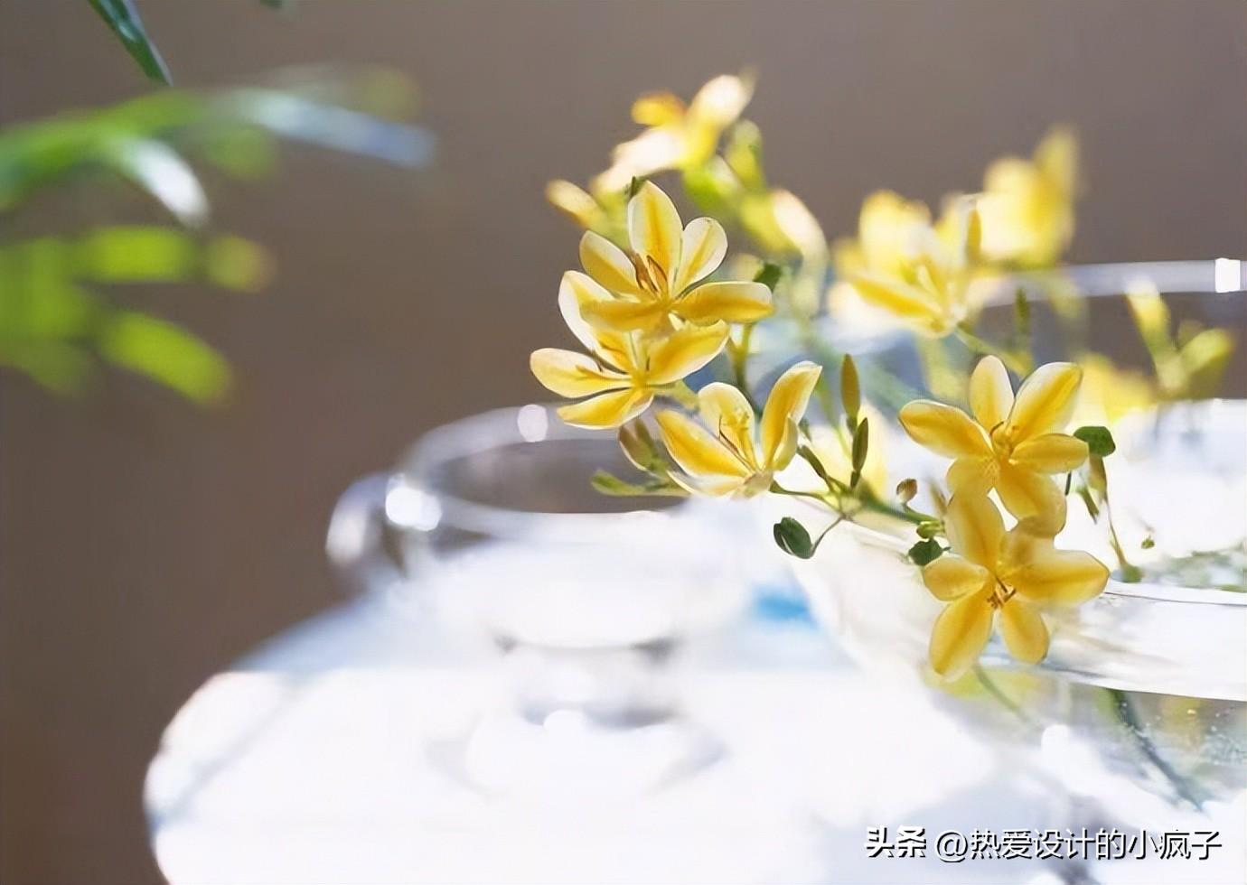 每日心情语录 / 只要我想的少 快乐就追着我跑(图1)