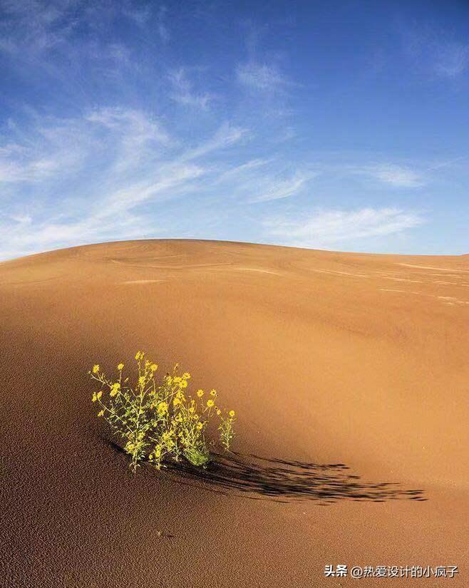 每日心情语录 / 只要我想的少 快乐就追着我跑(图2)