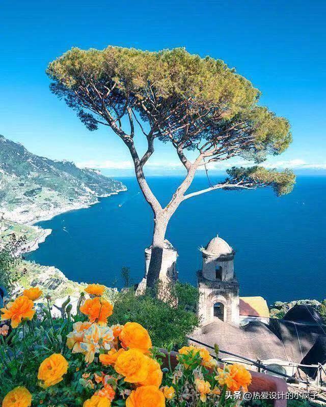 每日心情语录 / 只要我想的少 快乐就追着我跑(图4)