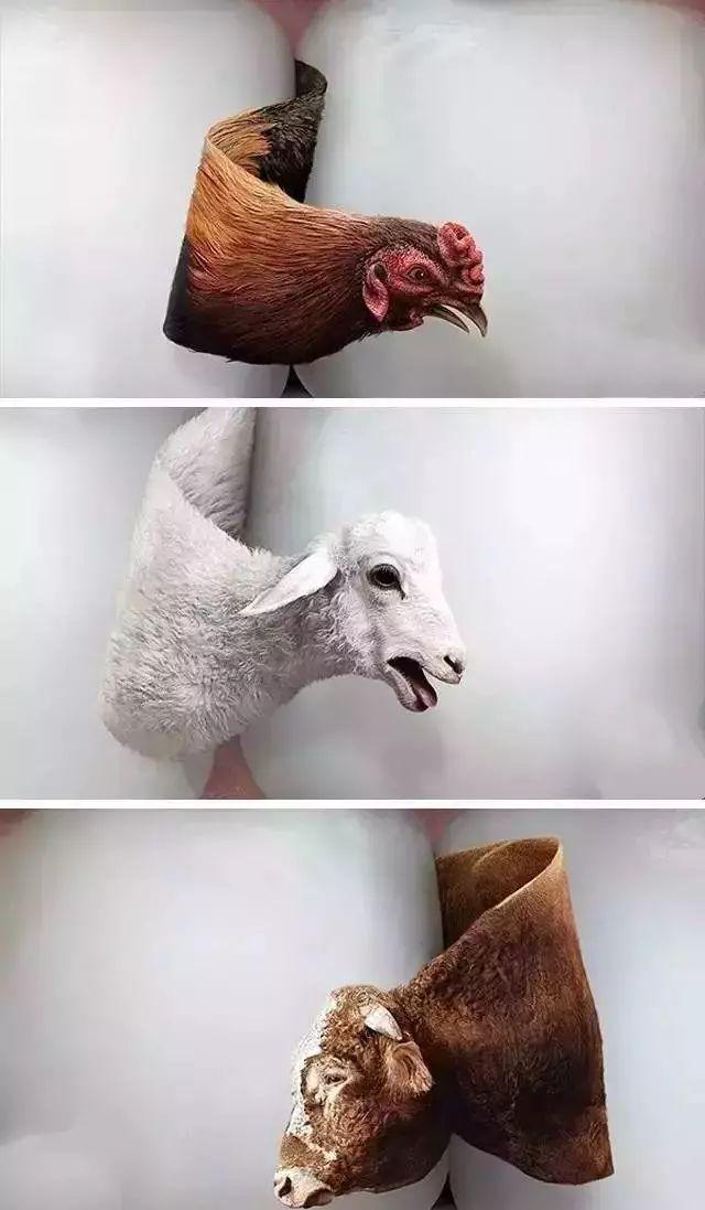 脑洞大开的20条口腔广告文案，也太可了(图30)