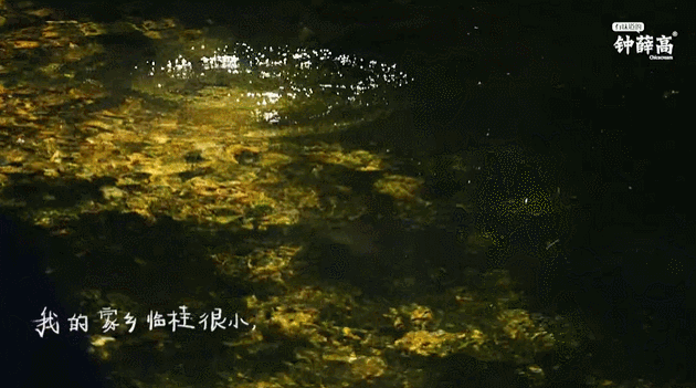 慕思的这支广告，也太治愈了(图9)