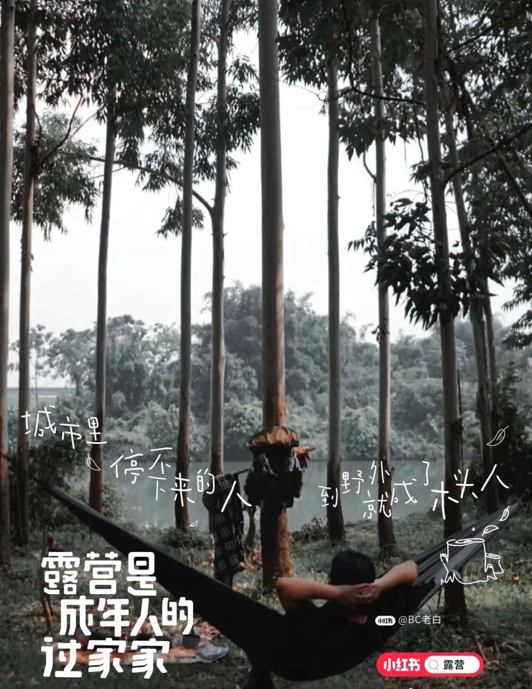 这10句露营文案，很治愈(图7)