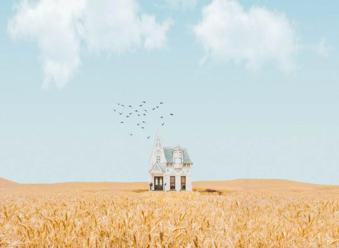 13个浪漫小句子，温柔了整个夏天(图4)