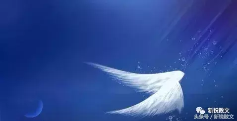 父亲的人生“格言”(图1)