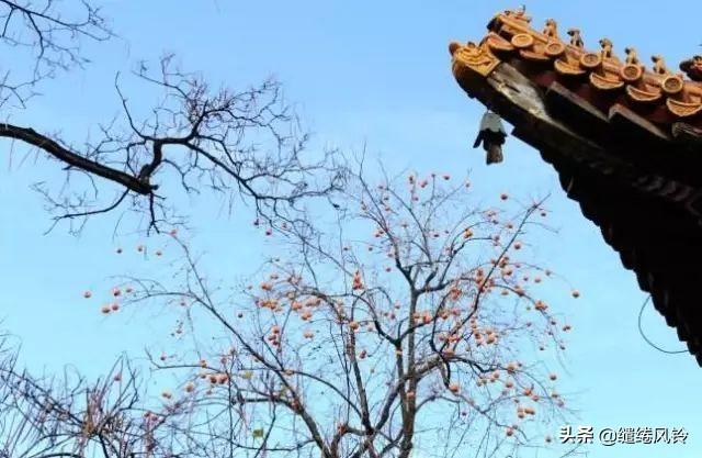 居身务期质朴，训子要有义方——《治家格言》精选20句，行为克当(图9)