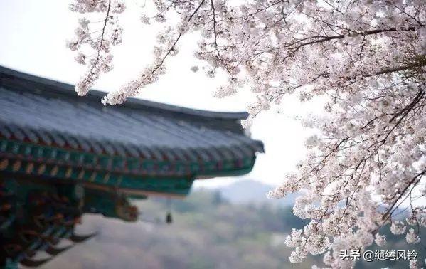 居身务期质朴，训子要有义方——《治家格言》精选20句，行为克当(图10)