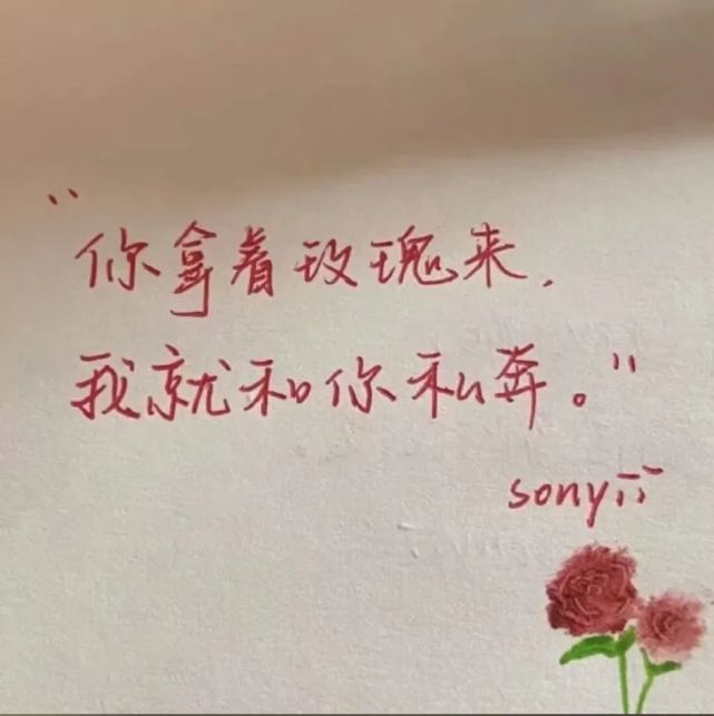 关于花的20条高级浪漫文案(图1)