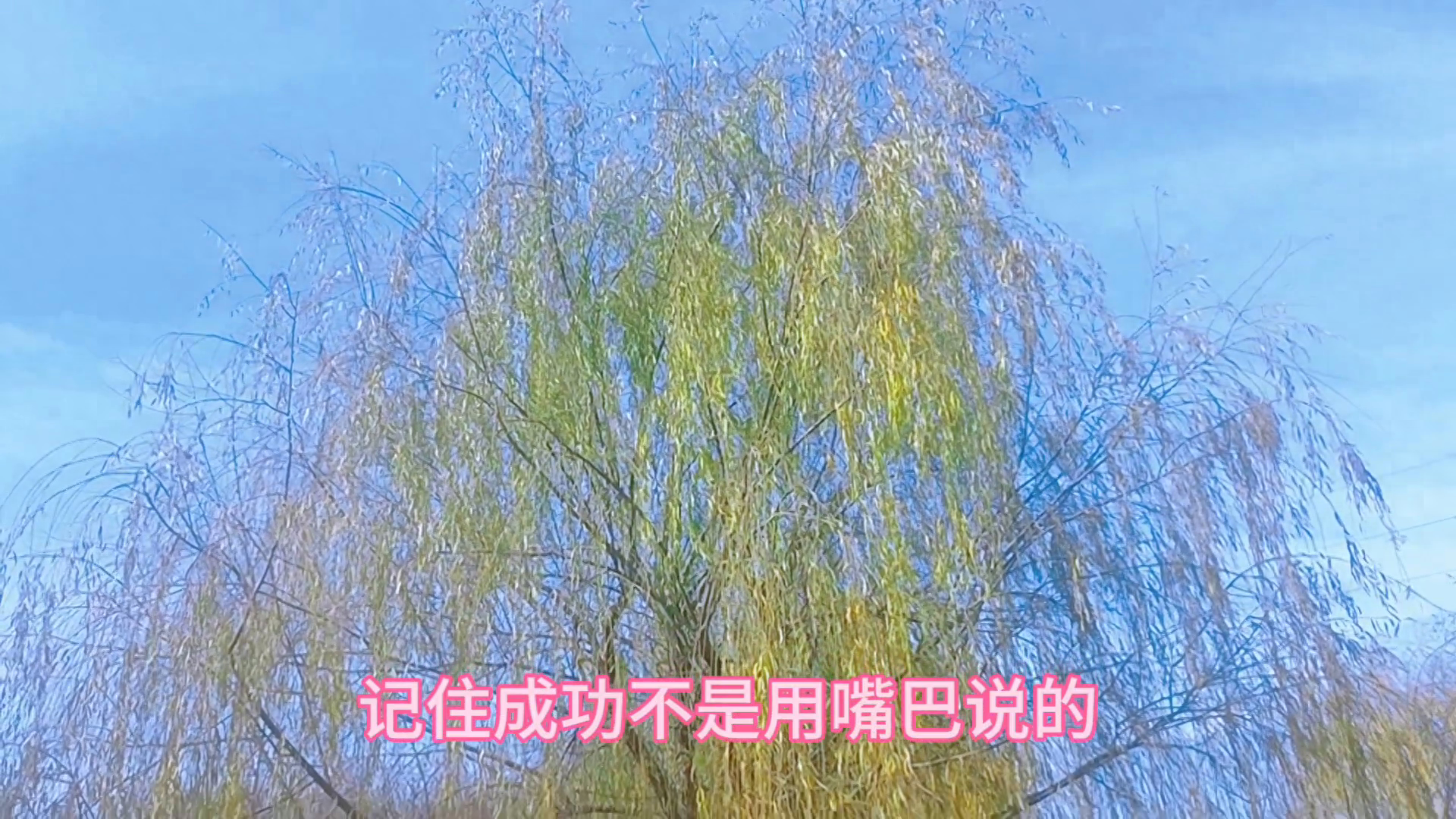 珍惜时间，珍惜眼前人。加油努力。且行且珍惜好好过完一生(图2)