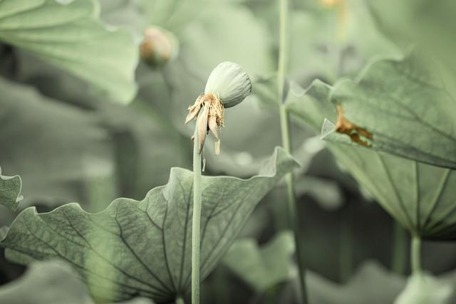 珍惜时间，不负年华(图3)