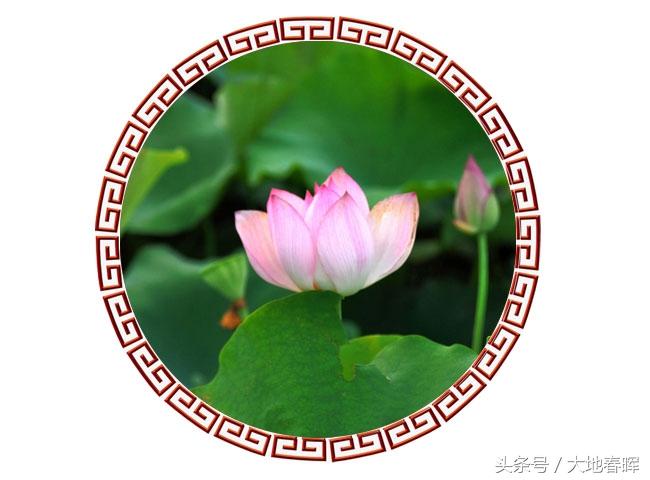 人活着,记住十句话,受益一生(望君铭记)(图1) 人活着,记住十句话,受益一生(望君铭记)(图1)