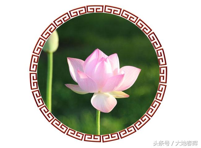 人活着,记住十句话,受益一生(望君铭记)(图2) 人活着,记住十句话,受益一生(望君铭记)(图2)