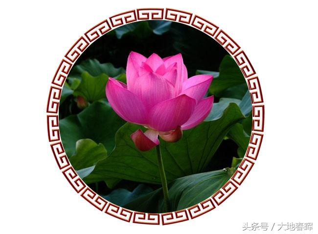 人活着,记住十句话,受益一生(望君铭记)(图3) 人活着,记住十句话,受益一生(望君铭记)(图3)