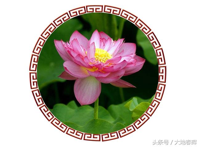 人活着,记住十句话,受益一生(望君铭记)(图4) 人活着,记住十句话,受益一生(望君铭记)(图4)