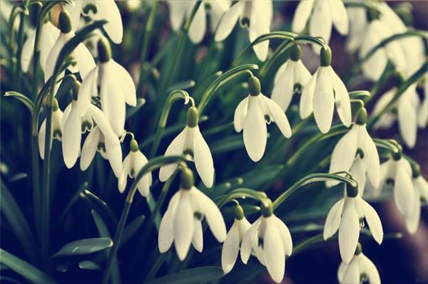 说说伤感到心痛的短句子，句句深刻入心，送给你牵挂的人(图3)