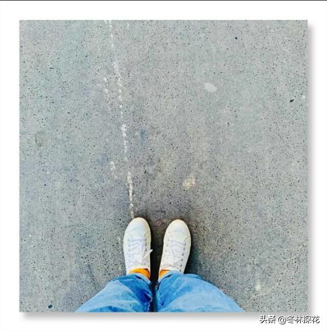 向往的春天，春暖花开，为你而来(图4)