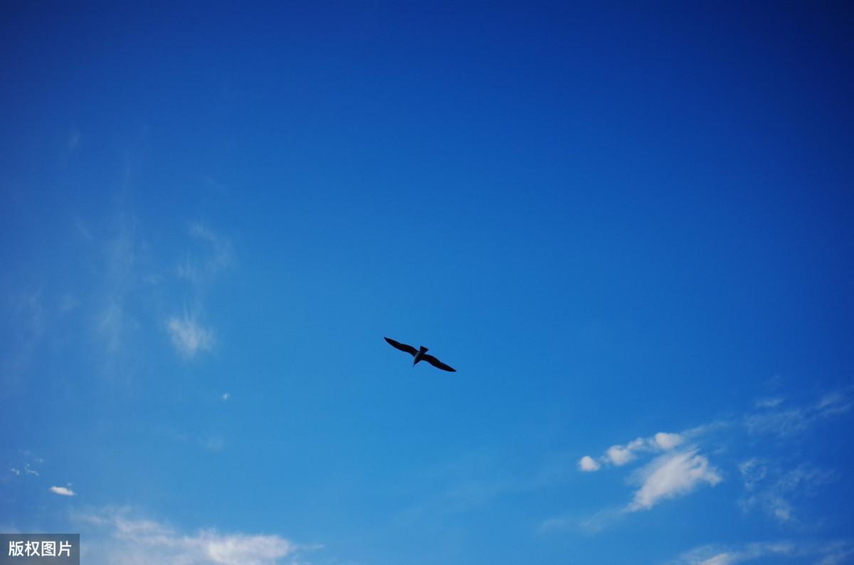 2020高考作文热点积累：“责任”与“使命”主题（含解析、范文）(图3)