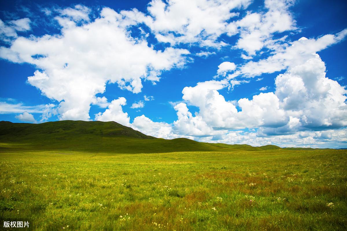 2020高考作文热点积累：“责任”与“使命”主题（含解析、范文）(图4)