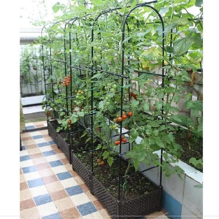 采菊东篱：俺家小院(图1)