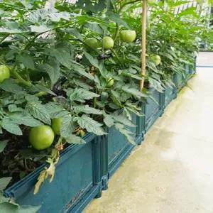 采菊东篱：俺家小院(图6)