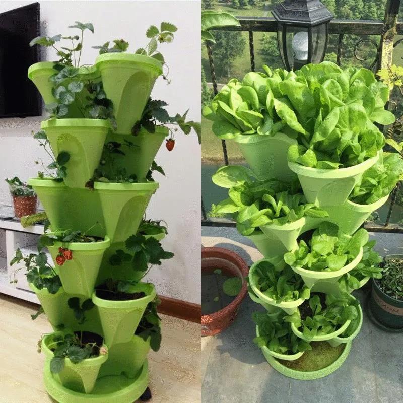 采菊东篱：俺家小院(图7)