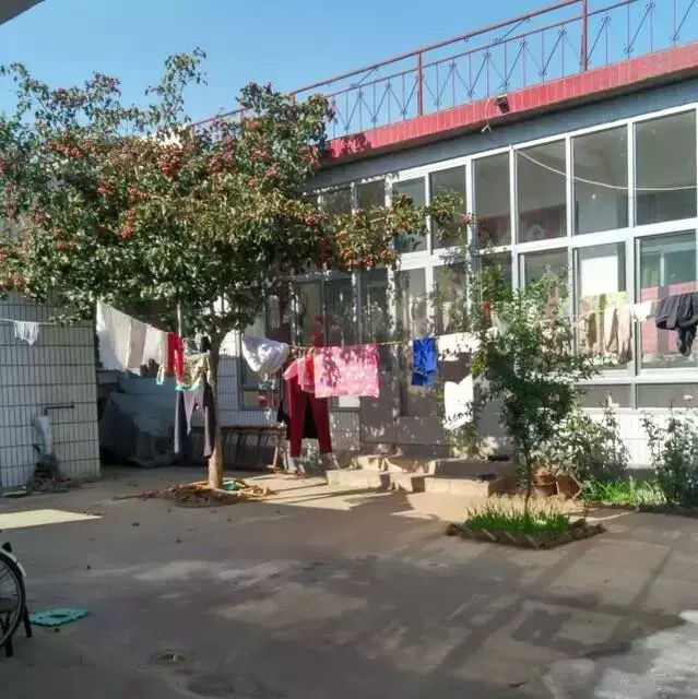 远嫁山东，晒晒我的农村小院！院子超级赞，厕所你都没见过(图3)