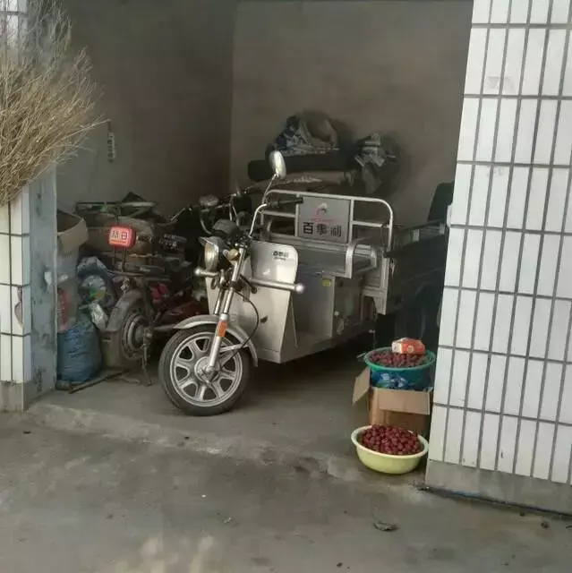 远嫁山东，晒晒我的农村小院！院子超级赞，厕所你都没见过(图15)