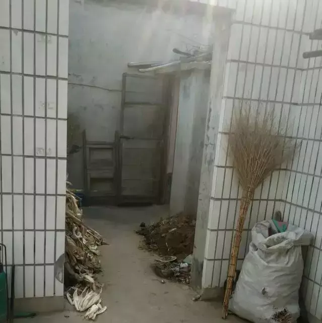 远嫁山东，晒晒我的农村小院！院子超级赞，厕所你都没见过(图16)