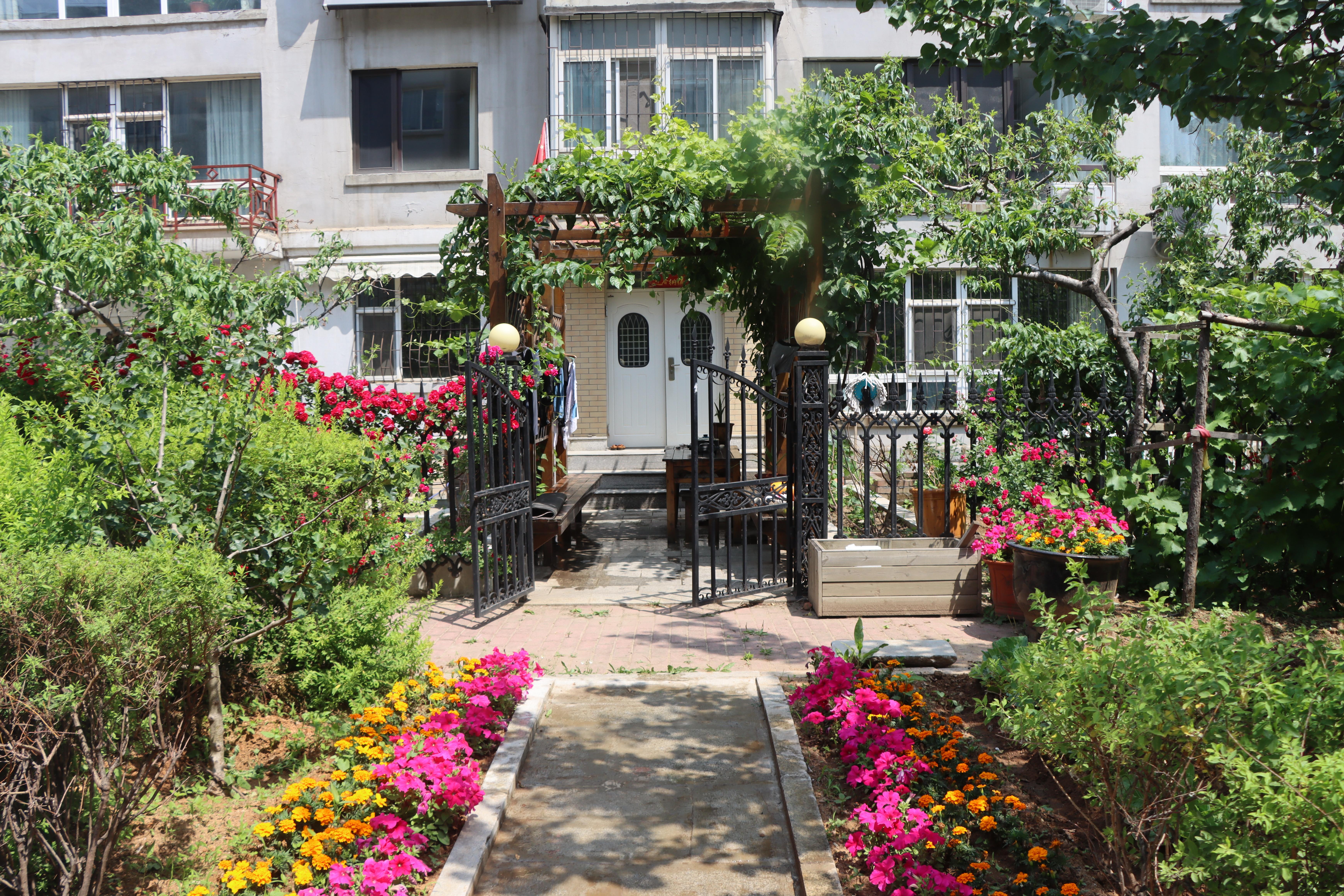 俺家有座院儿——东北小院的乡土情(图1)