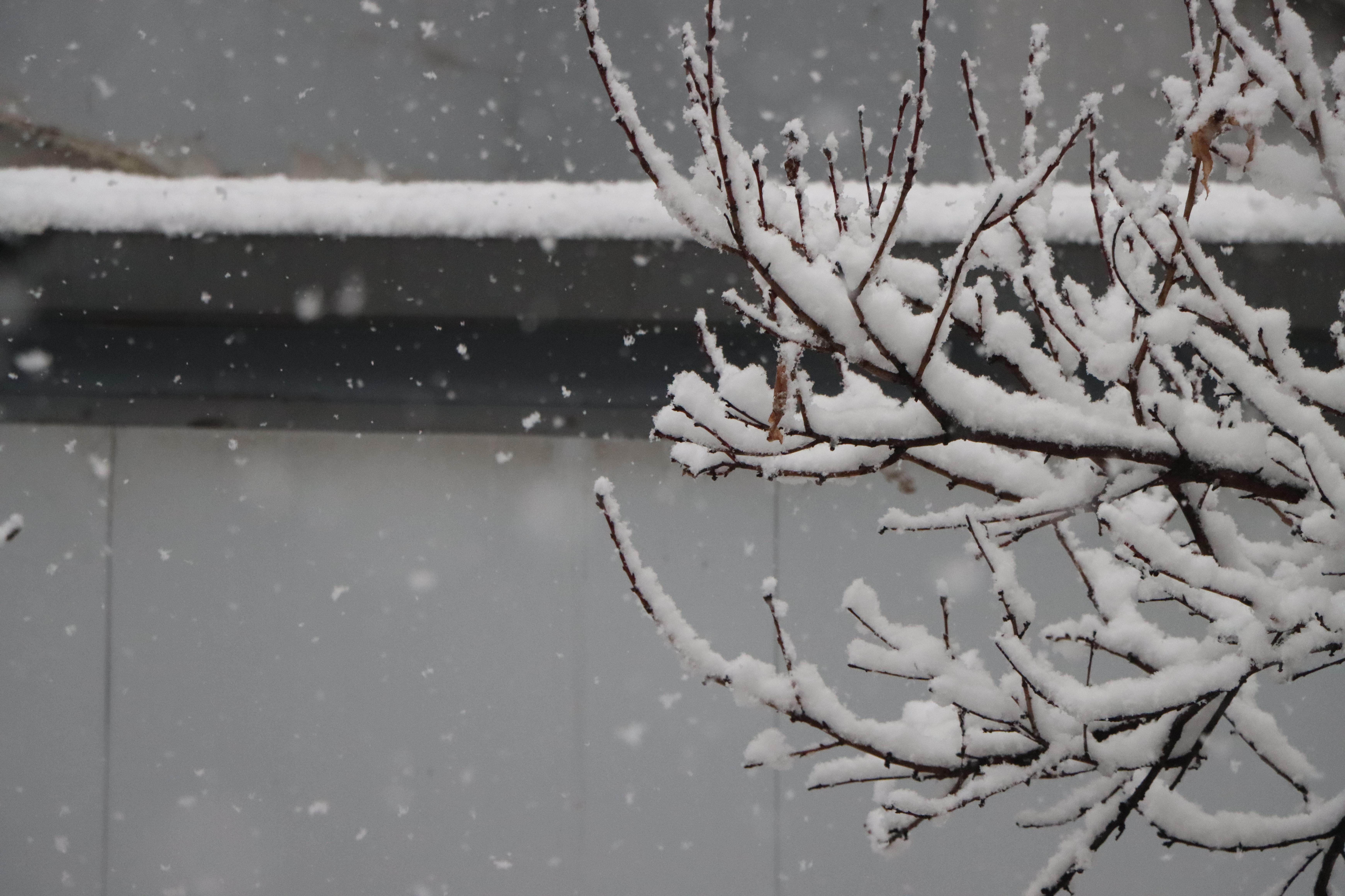 俺家有座院儿——东北小院的乡土情(图3)