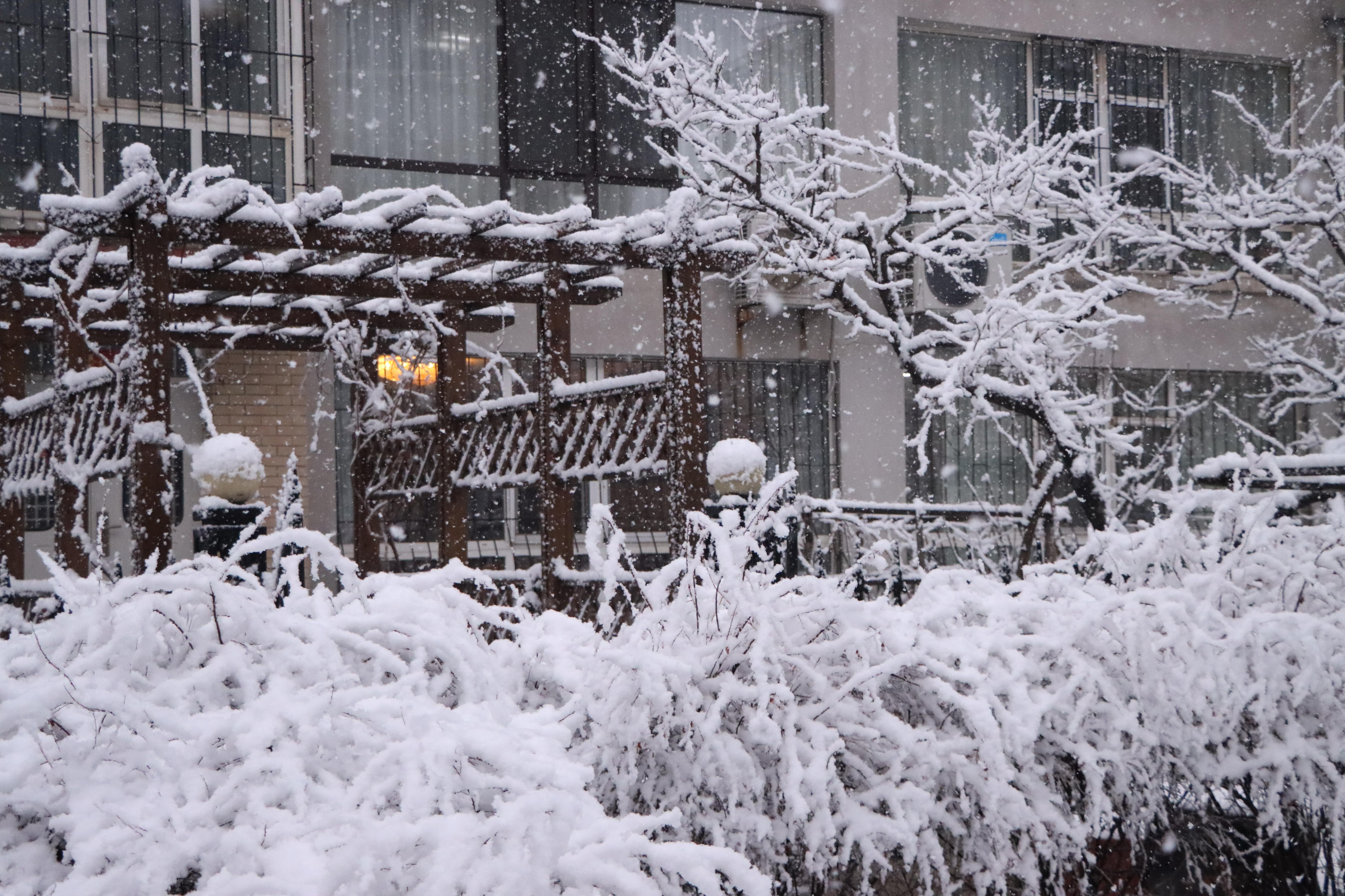 俺家有座院儿——东北小院的乡土情(图4)