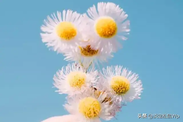 写给生日的感言(图2)