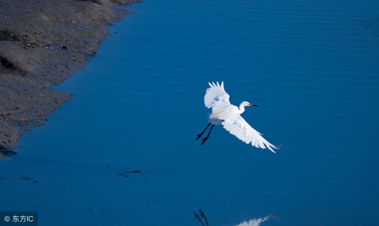 李嘉诚：我之所以从未失败，全靠这16字箴言！做到，前途无限光明(图8)