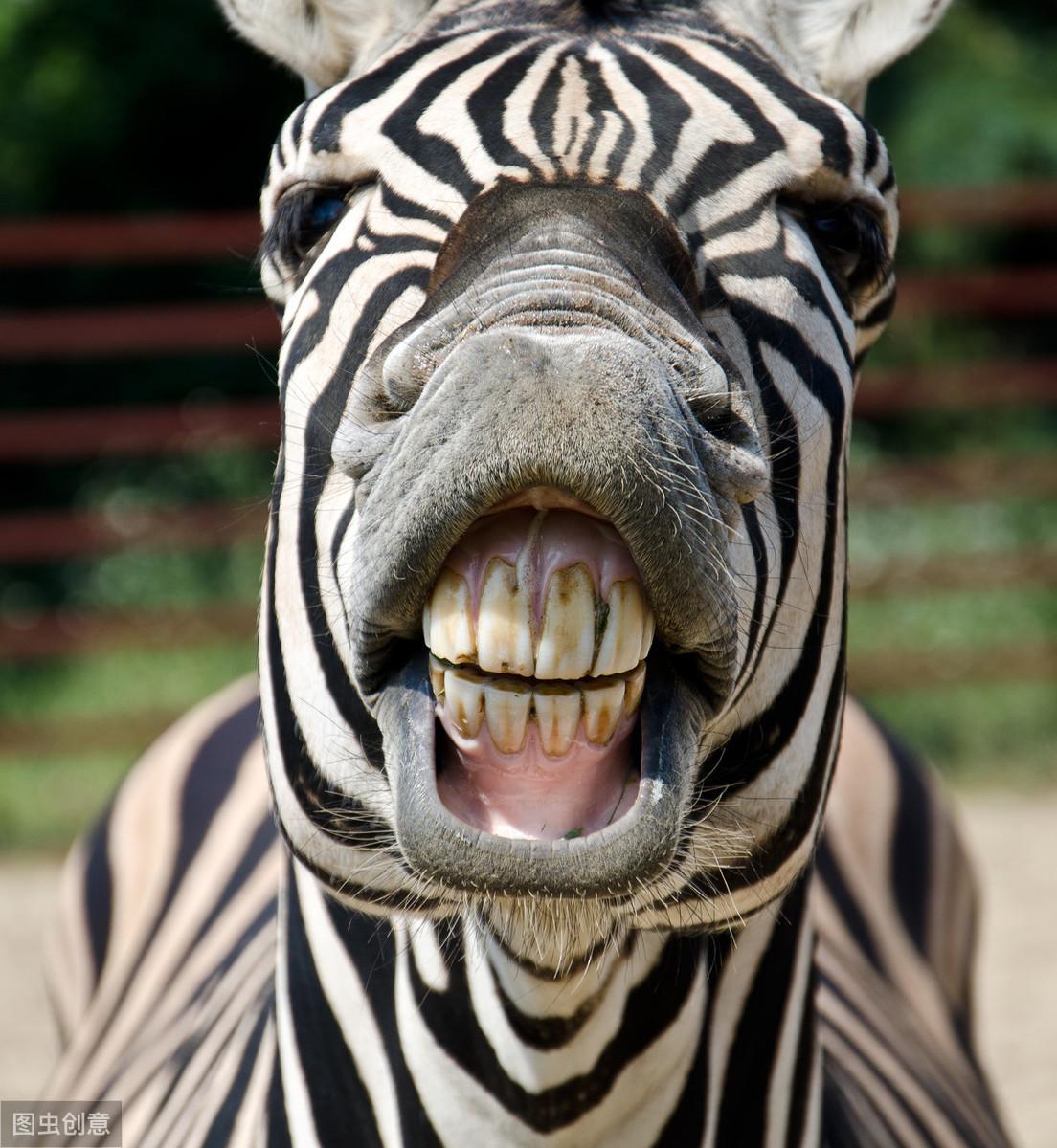 「转载」100条最欠扁的俏皮话 （太经典了）(图10)