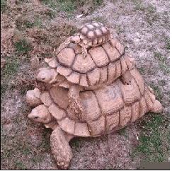 36句幽默搞笑俏皮话 幽默风趣经典俏皮话大全(图2) 36句幽默搞笑俏皮话 幽默风趣经典俏皮话大全(图2)