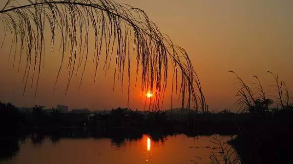 十首夕阳诗词：夕阳美如画，清风醉晚霞！(图2)