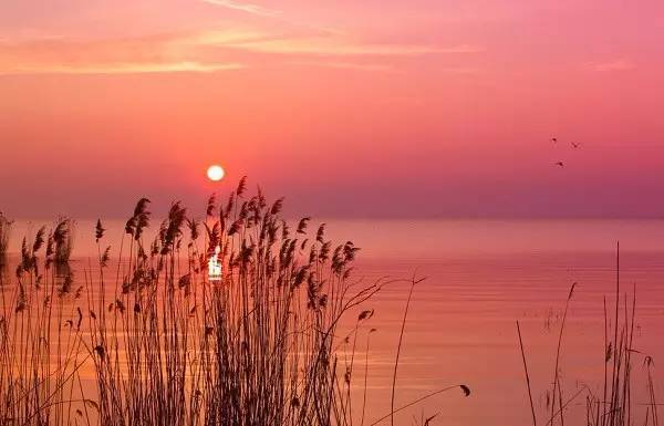 十首夕阳诗词：夕阳美如画，清风醉晚霞！(图5)