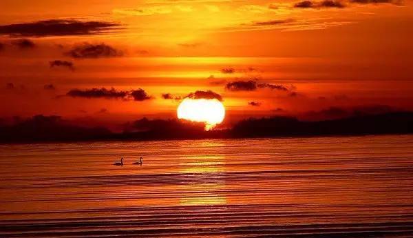 十首夕阳诗词：夕阳美如画，清风醉晚霞！(图8)