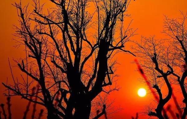 十首夕阳诗词：夕阳美如画，清风醉晚霞！(图9)