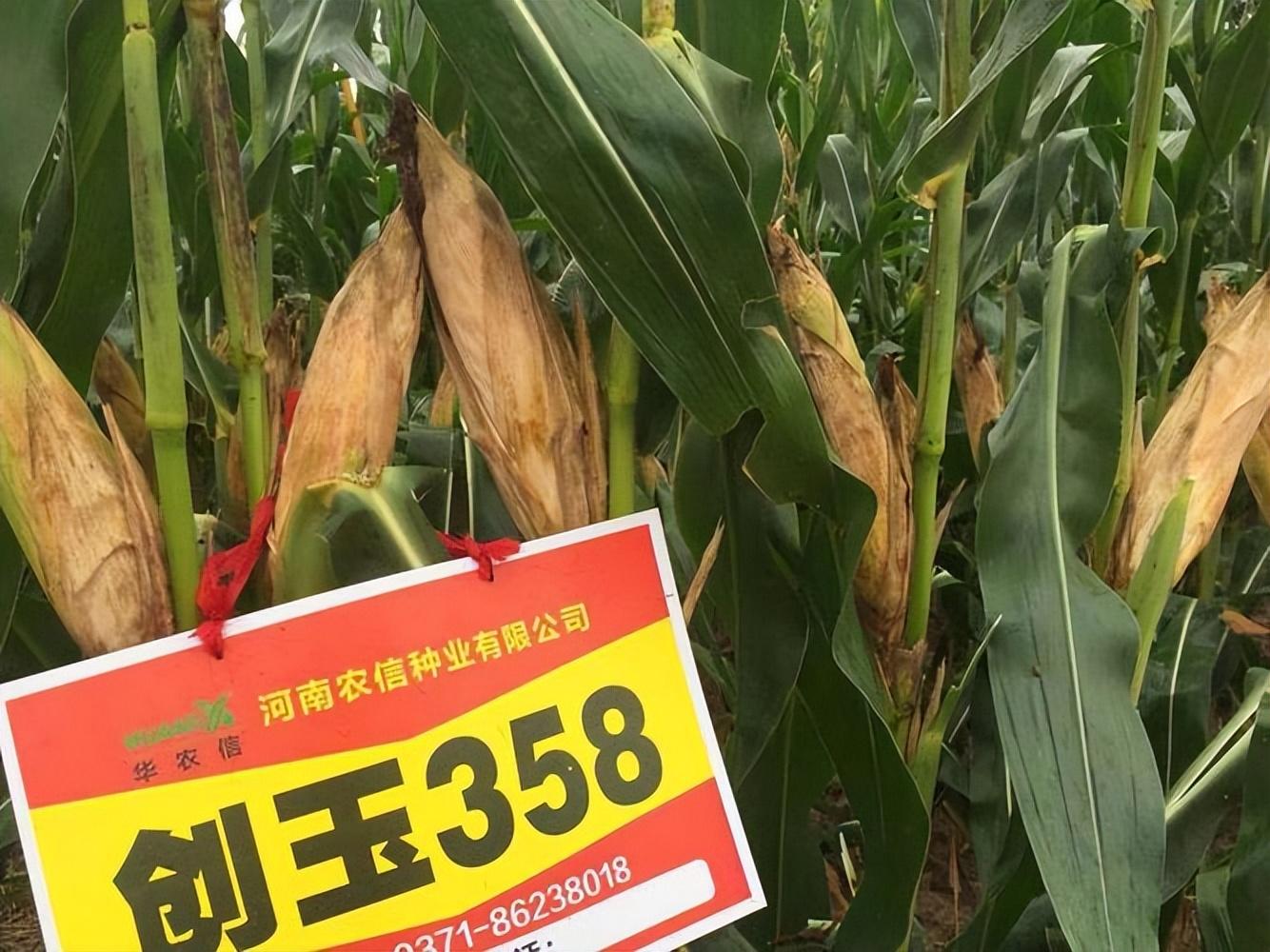 “三农”金句，事关未来农村发展，火速点赞！！！(图5)