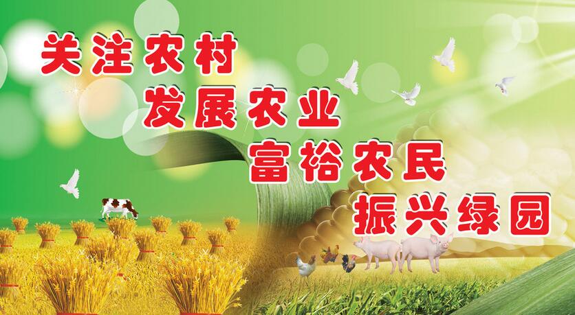 “三农”金句，事关未来农村发展，火速点赞！！！(图6)