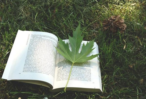 人生职场感悟经典句子，句句说到位，不看是你的损失(图6)