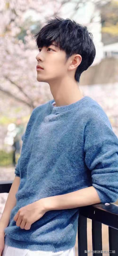 明星经典语录，“四杨双丽”够励志、够霸气，肖战语录超唯美(图10)