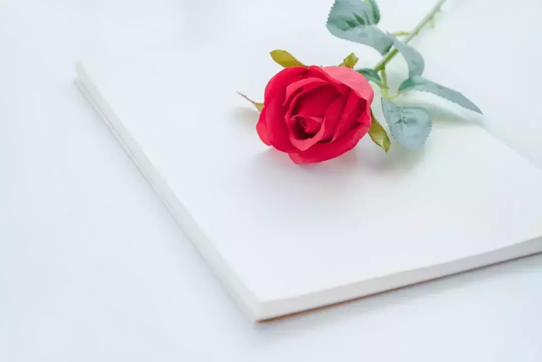 5·20｜爱情诗词100句，句句都是“我爱你”(图7)