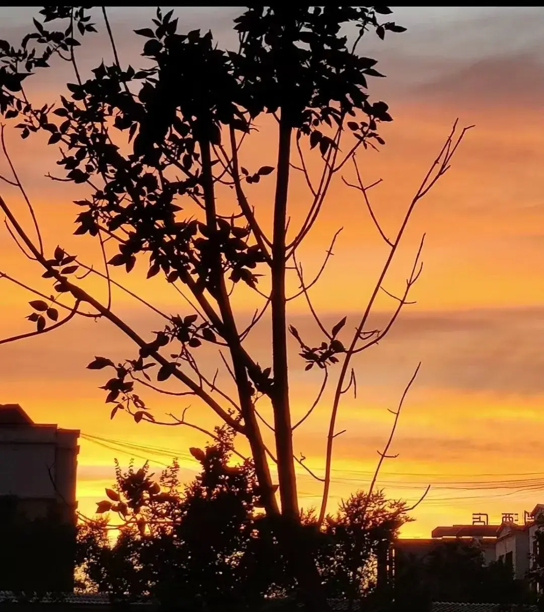 20句鼓励自己努力赚钱的短句(图2)