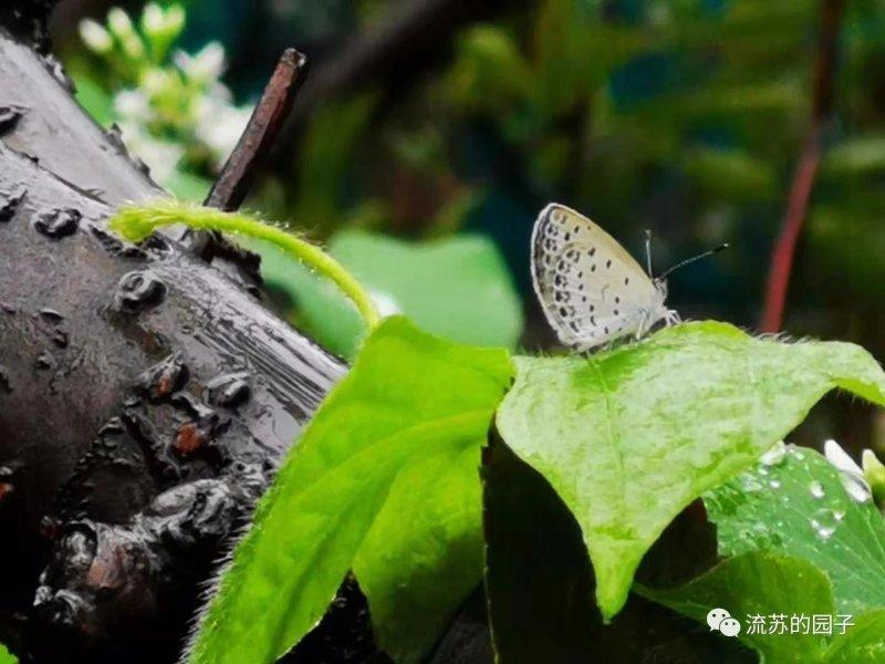 八月未央，秋雨连绵，天凉好个秋(图2)